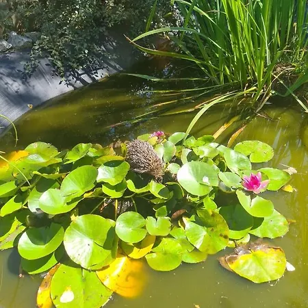 Au Domaine Spa-piscine Sauna Panzió 3*