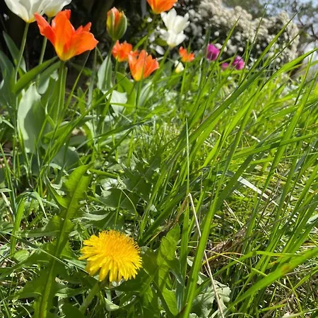 Panzió Au Domaine Spa-piscine Sauna