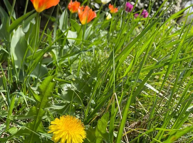 Frühstückspension Au Domaine Spa-piscine Sauna